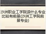 沙洲职业工学院读什么专业比较有前景(沙洲工学院前景专业)