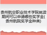 贵州航空职业技术学院就读期间可以申请哪些奖学金(贵州航院奖学金种类)
