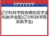 辽宁科技学院有哪些奖学金和助学金呢(辽宁科技学院奖助学金)
