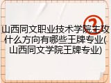 山西同文职业技术学院主攻什么方向有哪些王牌专业(山西同文学院王牌专业)