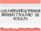 山东力明科技职业学院就读期间挂科了怎么办呢？(挂科怎么办)
