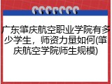 广东肇庆航空职业学院有多少学生，师资力量如何(肇庆航空学院师生规模)