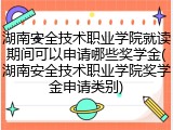 湖南安全技术职业学院就读期间可以申请哪些奖学金(湖南安全技术职业学院奖学金申请类别)