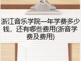 浙江音乐学院一年学费多少钱，还有哪些费用(浙音学费及费用)