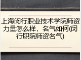 上海闵行职业技术学院师资力量怎么样，名气如何(闵行职院师资名气)