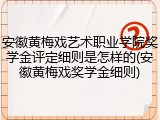 安徽黄梅戏艺术职业学院奖学金评定细则是怎样的(安徽黄梅戏奖学金细则)