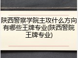 陕西警察学院主攻什么方向有哪些王牌专业(陕西警院王牌专业)