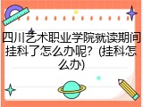 四川艺术职业学院就读期间挂科了怎么办呢？(挂科怎么办)