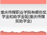 重庆传媒职业学院有哪些奖学金和助学金呢(重庆传媒奖助学金)