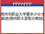 扬州市职业大学要多少分才能进(扬州职大录取分数线)
