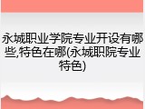永城职业学院专业开设有哪些,特色在哪(永城职院专业特色)