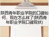 陕西青年职业学院的口碑如何，现在怎么样了(陕西青年职业学院口碑现状)