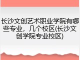 长沙文创艺术职业学院有哪些专业，几个校区(长沙文创学院专业校区)