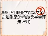 漳州卫生职业学院奖学金评定细则是怎样的(奖学金评定细则)