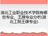 湖北工业职业技术学院有哪些专业，王牌专业分析(湖北工院王牌专业)