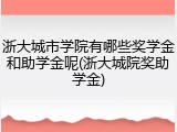 浙大城市学院有哪些奖学金和助学金呢(浙大城院奖助学金)
