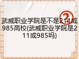 武威职业学院是不是211或985高校(武威职业学院是211或985吗)
