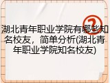 湖北青年职业学院有哪些知名校友，简单分析(湖北青年职业学院知名校友)