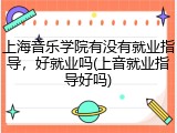 上海音乐学院有没有就业指导，好就业吗(上音就业指导好吗)