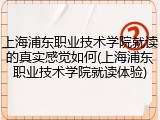 上海浦东职业技术学院就读的真实感觉如何(上海浦东职业技术学院就读体验)