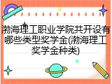 渤海理工职业学院共开设有哪些类型奖学金(渤海理工奖学金种类)
