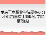 重庆工商职业学院要多少分才能进(重庆工商职业学院录取线)