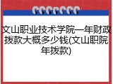 文山职业技术学院一年财政拨款大概多少钱(文山职院年拨款)