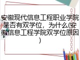 安徽现代信息工程职业学院是否有双学位，为什么(安徽信息工程学院双学位原因)