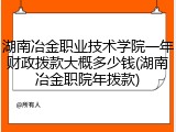 湖南冶金职业技术学院一年财政拨款大概多少钱(湖南冶金职院年拨款)