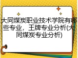 大同煤炭职业技术学院有哪些专业，王牌专业分析(大同煤炭专业分析)