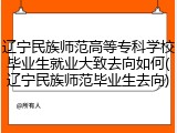 辽宁民族师范高等专科学校毕业生就业大致去向如何(辽宁民族师范毕业生去向)