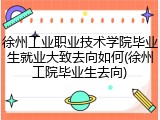 徐州工业职业技术学院毕业生就业大致去向如何(徐州工院毕业生去向)