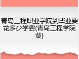 青岛工程职业学院到毕业要花多少学费(青岛工程学院费)