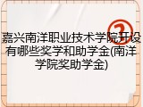 嘉兴南洋职业技术学院开设有哪些奖学和助学金(南洋学院奖助学金)