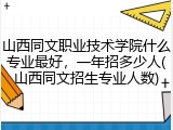 山西同文职业技术学院什么专业最好，一年招多少人(山西同文招生专业人数)