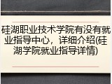 硅湖职业技术学院有没有就业指导中心，详细介绍(硅湖学院就业指导详情)