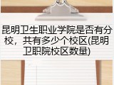 昆明卫生职业学院是否有分校，共有多少个校区(昆明卫职院校区数量)