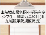 山东城市服务职业学院有多少学生，师资力量如何(山东城服学院规模师资)