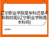 辽宁职业学院是专科还是本科院校呢(辽宁职业学院是本科吗)