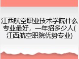 江西航空职业技术学院什么专业最好，一年招多少人(江西航空职院优势专业)