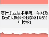 喀什职业技术学院一年财政拨款大概多少钱(喀什职院年拨款)