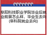 阜阳科技职业学院毕业后就业前景怎么样，毕业生去向(阜科院就业去向)