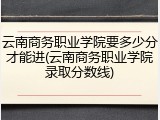 云南商务职业学院要多少分才能进(云南商务职业学院录取分数线)