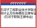石河子工程职业技术学院主攻什么方向有哪些王牌专业(石河子职院王牌专业)
