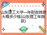 山东理工大学一年财政拨款大概多少钱(山东理工年拨款)