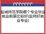 盐城师范学院哪个专业毕业就业前景比较好(盐师好就业专业)