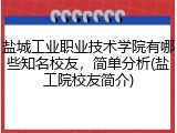 盐城工业职业技术学院有哪些知名校友，简单分析(盐工院校友简介)