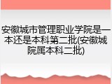 安徽城市管理职业学院是一本还是本科第二批(安徽城院属本科二批)