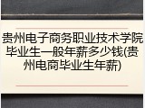 贵州电子商务职业技术学院毕业生一般年薪多少钱(贵州电商毕业生年薪)