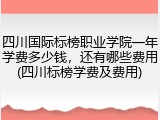 四川国际标榜职业学院一年学费多少钱，还有哪些费用(四川标榜学费及费用)